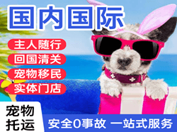 天府机场物流国际宠物托运 【国